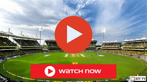 Stream the T20 World Cup live through bet365 .